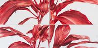 Detalhe de obra de Amélia Brandelli, que integra a exposição que parte da essência das formas orgânicas de plantas