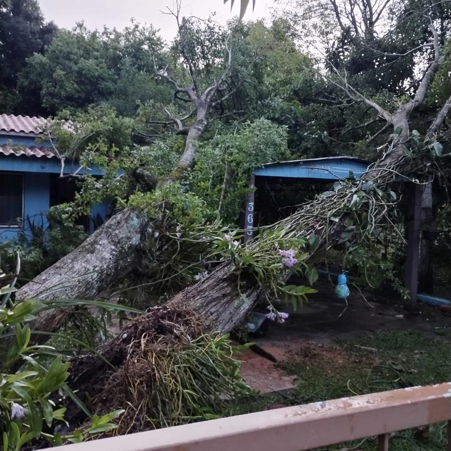 A chuva acumulada somou 15,8 mm na esta&ccedil;&atilde;o principal da cidade e, no interior, m&eacute;dias de at&eacute; 28 mm
