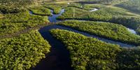 Ministro defende mudança na composição e funcionamento do Comitê Orientador do Fundo Amazônia (Cofa)