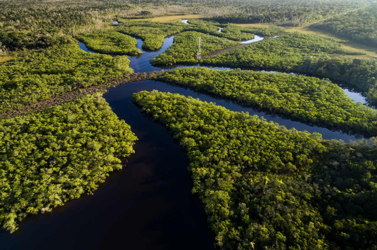 Ministro defende mudan&ccedil;a na composi&ccedil;&atilde;o e funcionamento do Comit&ecirc; Orientador do Fundo Amaz&ocirc;nia (Cofa)