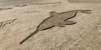 Toninhas foram desenhadas na areia da praia