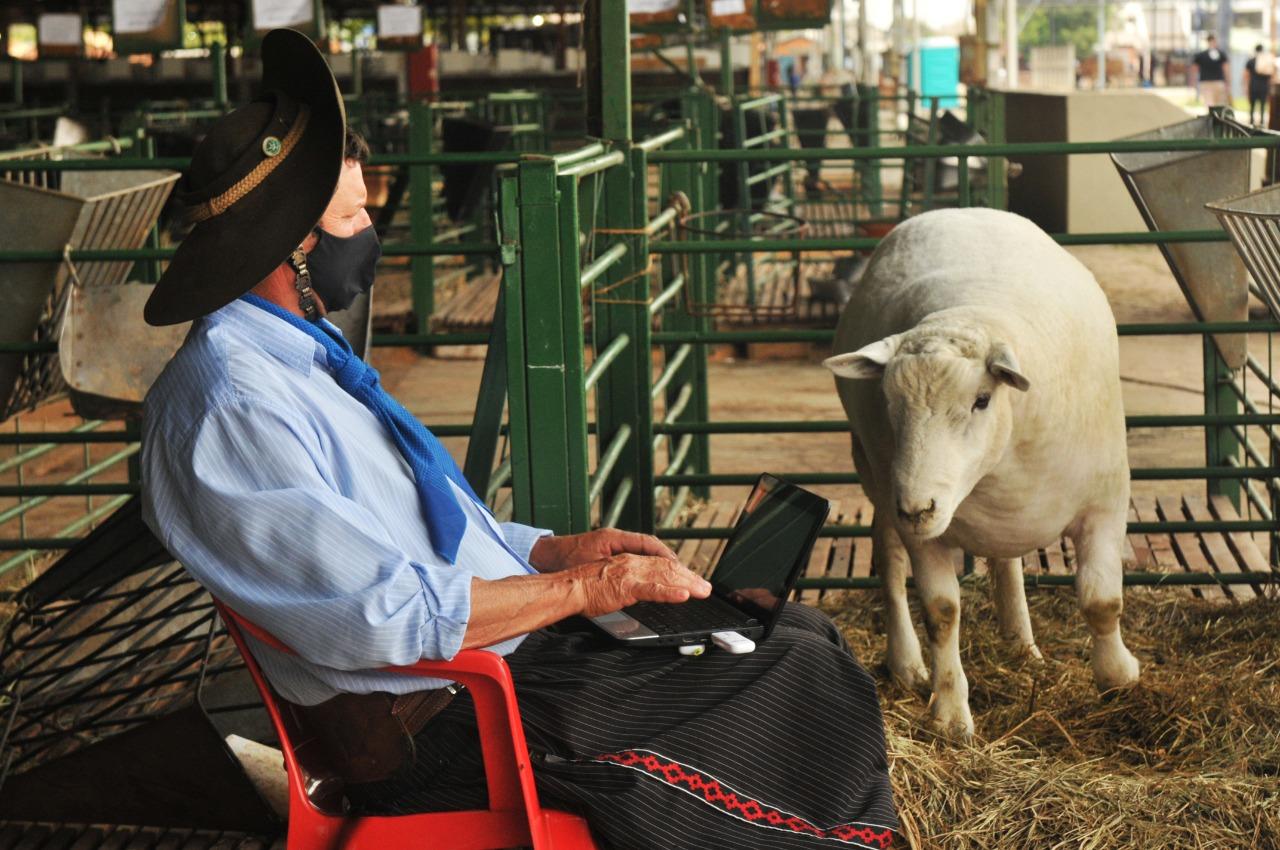 Formato deste ano foi in&eacute;dito em fun&ccedil;&atilde;o da Covid-19