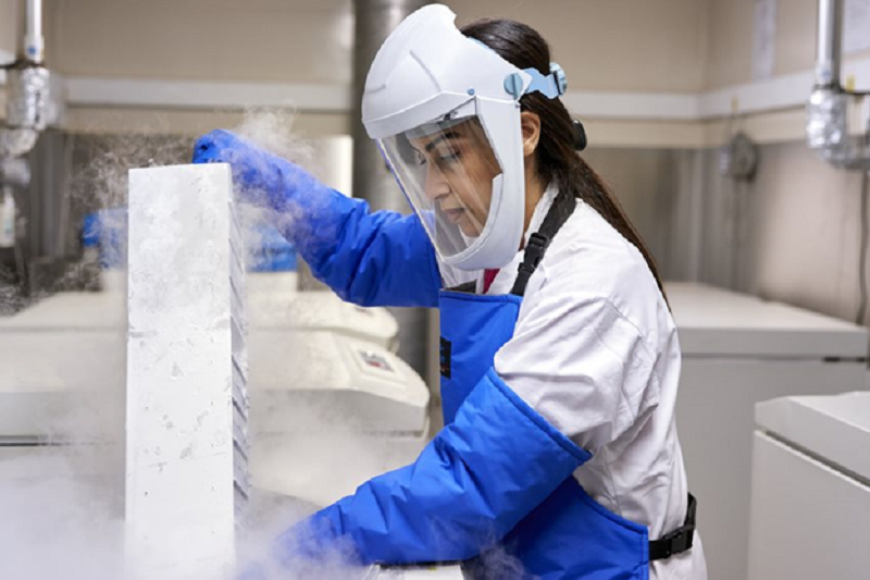 Vacina fabricada pela Medicago R&D Inc, sediada no Canad&aacute;, e pela empresa farmac&ecirc;utica brit&acirc;nica GlaxoSmithKline (GSK)