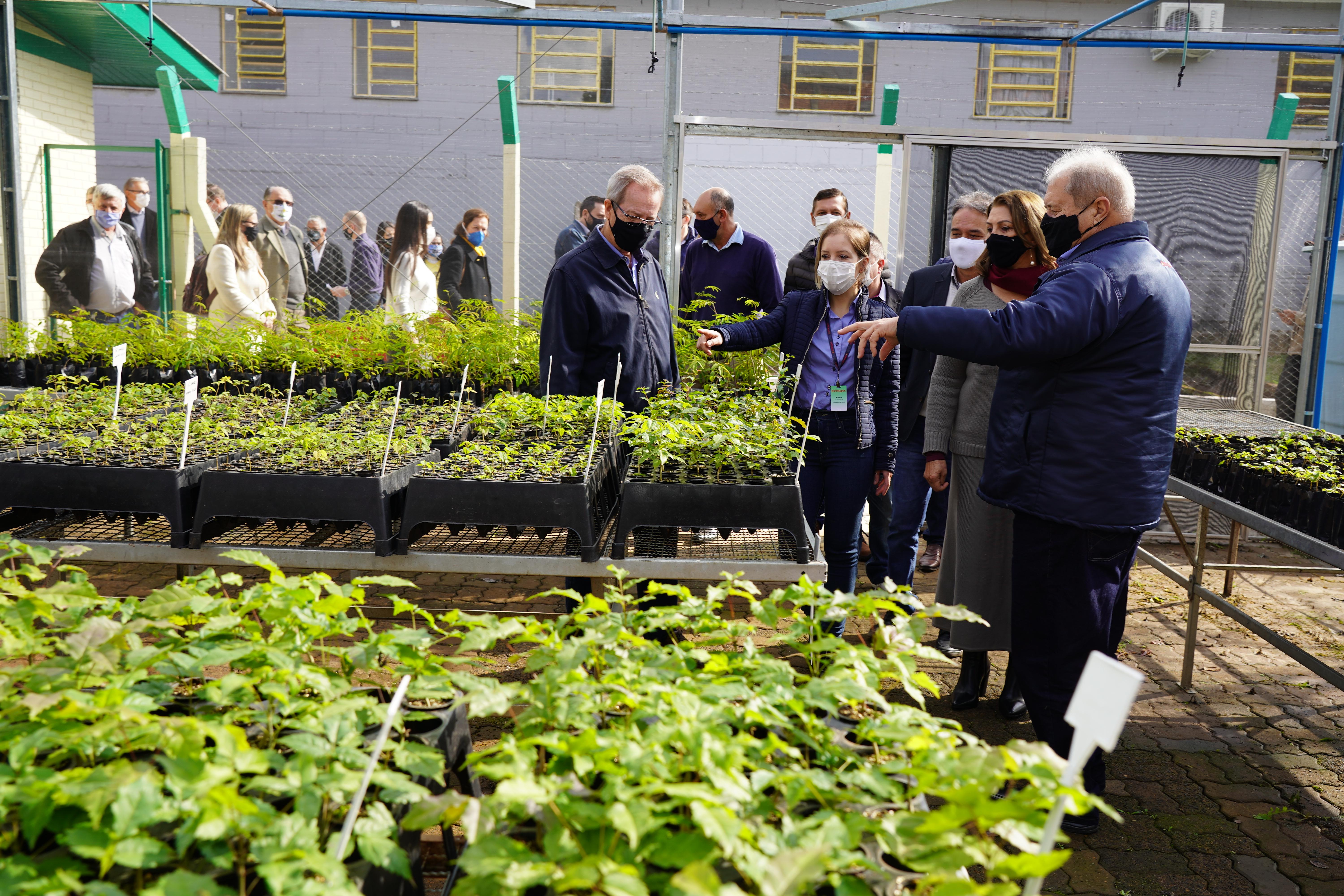 Viveiro na APAE de Passo Fundo