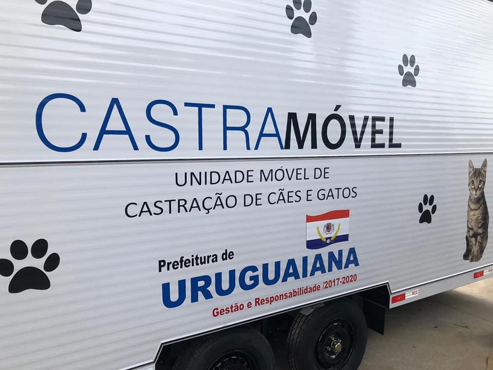 Com a unidade ser&aacute; poss&iacute;vel castrar cerca de 60 animais por m&ecirc;s