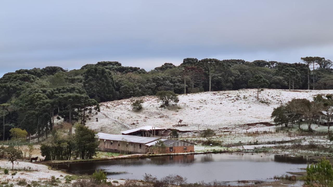 Onda de frio pressionar&aacute; infla&ccedil;&atilde;o na produ&ccedil;&atilde;o alimenta&ccedil;&atilde;o