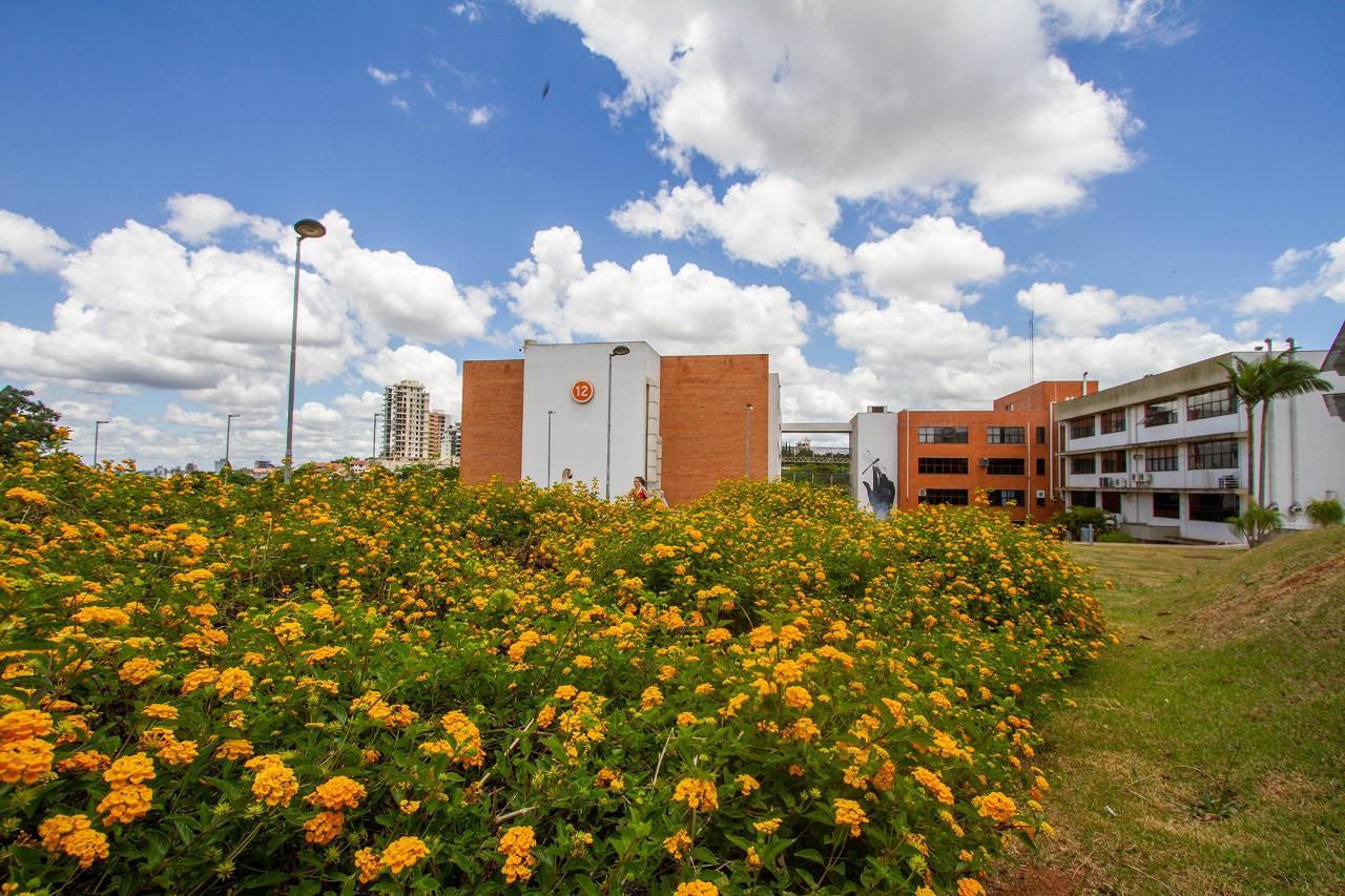 Este ano, o question&aacute;rio trouxe quest&otilde;es sobre a&ccedil;&otilde;es das universidades frente &agrave; Covid-19. As iniciativas para minimizar o impacto da pandemia tamb&eacute;m contribu&iacute;ram para a melhora da posi&ccedil;&atilde;o da Univates (foto) no GreenMetric
