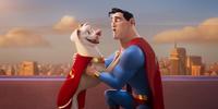 O filme é uma bela carta de amor aos pets e aos seus amigos humanos