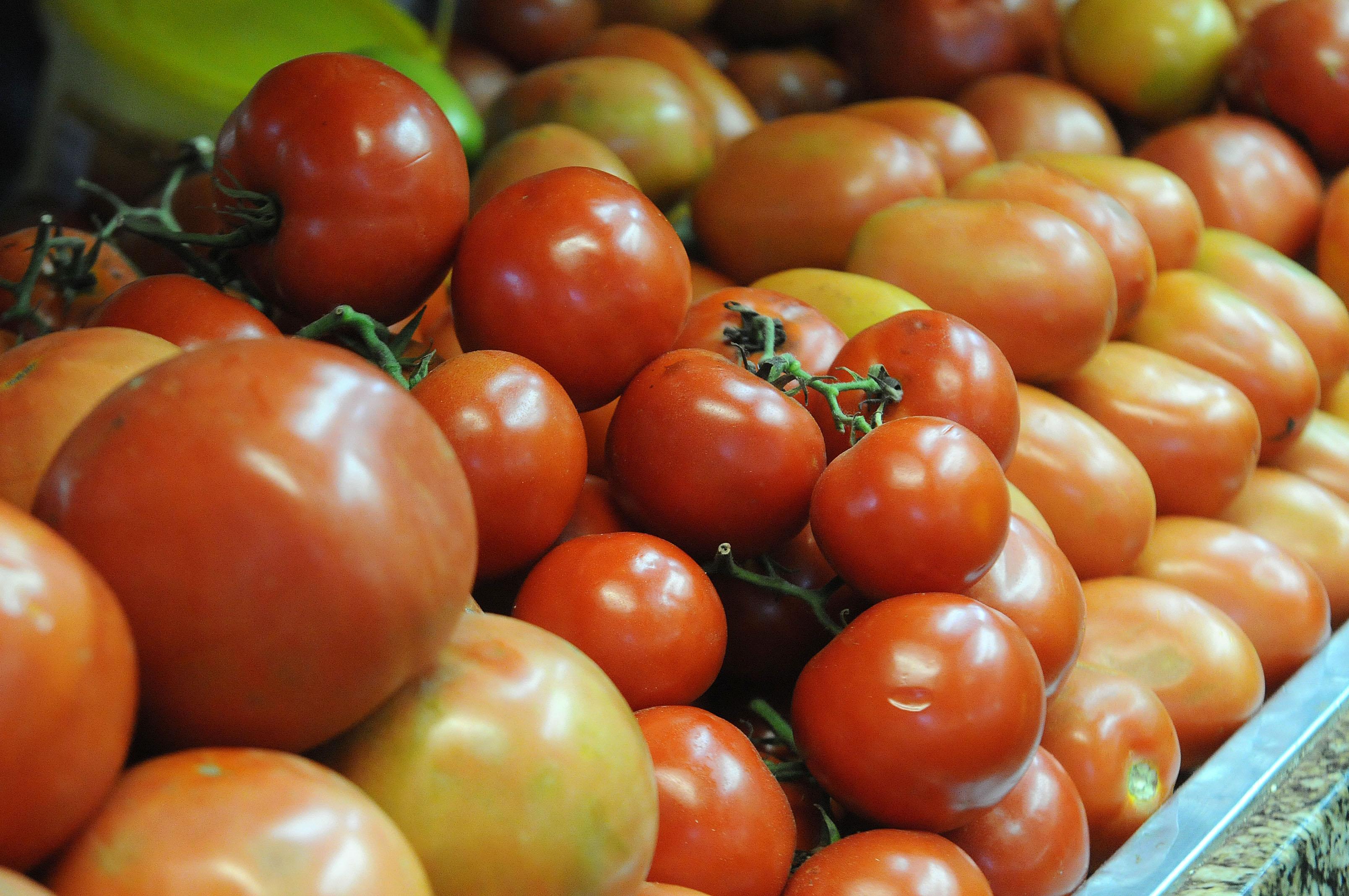 Tomate foi o produto com a maior alta no m&ecirc;s de julho: 10,38%