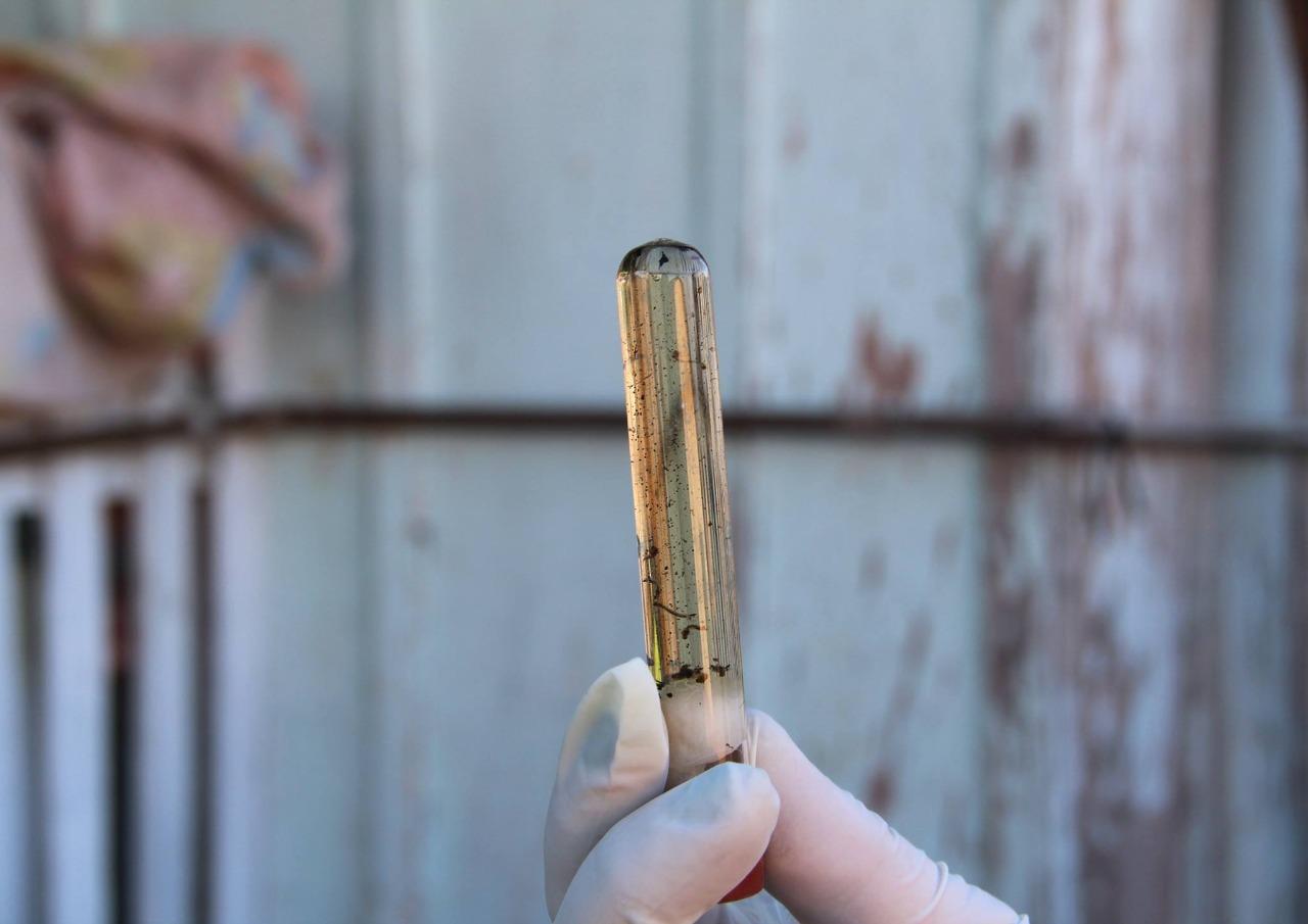 O Rio Grande do Sul j&aacute; registra 23.208 casos confirmados da doen&ccedil;a