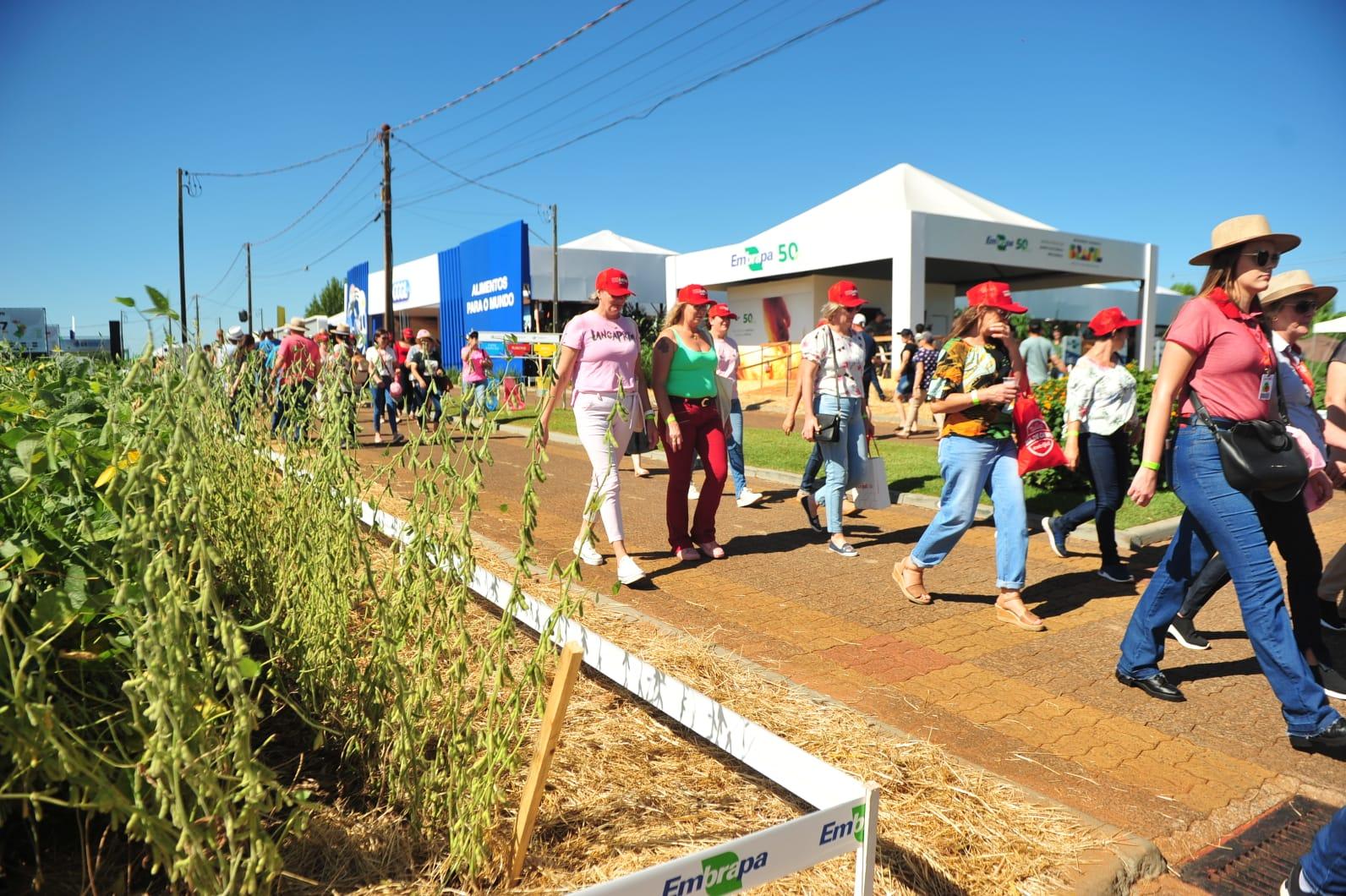 Cotrijal reuniu 170 mulheres associadas em visita guiada pelo parque