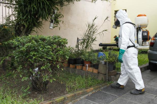 As ocorr&ecirc;ncias de dengue passaram de 1,3 milh&atilde;o de casos em 2022 