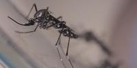 No Sul, o Paraná foi classificado como estado com potencial muito alto para casos de dengue