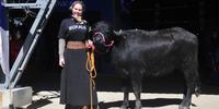 Presidente da Associação Sulina de Criadores de Búfalos (Ascribu), Desireé Möller, quer dismistifcar que o animal é extremamente dócil e de fácil manejo