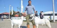 Renato Moreira Linhares, de Santana do Boa Vista, comprou animais no Rio Grande do Norte