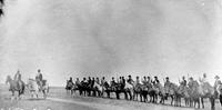 A coluna do general Zeca Netto contava com mais de quatro mil cavalos