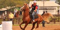 O Campeonato Domados do Pampa, que avalia cavalos árabes, é um dos vários torneios que integram a feira
