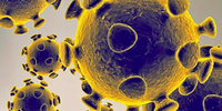 Estudo aguarda revisão por pares na revista científica The Lancet Infectious Diseases