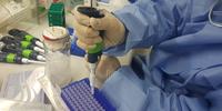 Vacina da Fiocruz Minas e UFMG avança em testes de laboratório