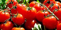 Tomate e feijão estão entre os itens mais caros em Porto Alegre, segundo dados da pesquisa 