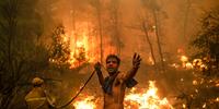 Habitantes observam desesperados incêndio na ilha grega de Eubeia