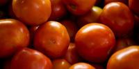 Tomates ficaram 26,92% mais caros em setembro