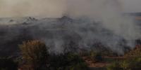 Incêndios atingem região de Corrientes, na Argentina