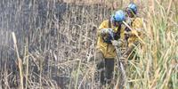 Incêndio na Argentina afeta município gaúcho 