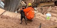 Binômios são duplas de bombeiro militar e cão 