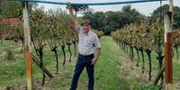 José Milani, produtor de Garibaldi, garantiu colheita de 240 mil quilos de uva na safra 2021/2022, passando incólume pelos efeitos que a estiagem no Rio Grande do Sul teve sobre a cultura