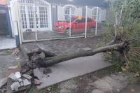 Defesa Civil distribuiu lonas, cortou árvores e acolheu moradores em abrigo emergencial nesta terça-feira