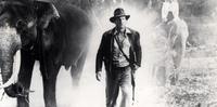 Eterno Indiana Jones, Harrison Ford completou 80 anos no último dia 13