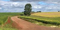 A pavimentação do trecho interliga as localidades de Campo Santo, Paineira e Reassentamento São Sebastião