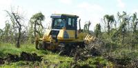 A área total onde será instalado o aeroporto tem 445 hectares