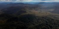 Vista aérea da terra indígena Yanomami, em Roraima