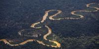 Território Yanomami é duramente afetado pelos garimpos ilegais 